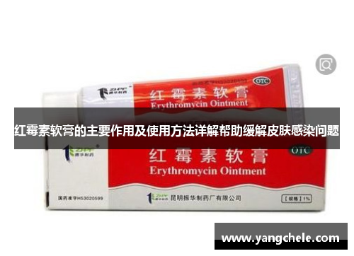 红霉素软膏的主要作用及使用方法详解帮助缓解皮肤感染问题