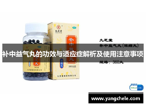 补中益气丸的功效与适应症解析及使用注意事项