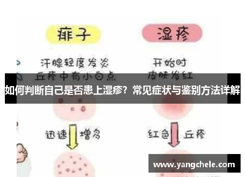 如何判断自己是否患上湿疹？常见症状与鉴别方法详解