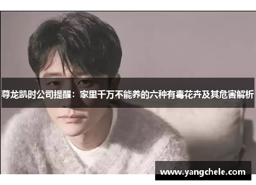 尊龙凯时公司提醒：家里千万不能养的六种有毒花卉及其危害解析