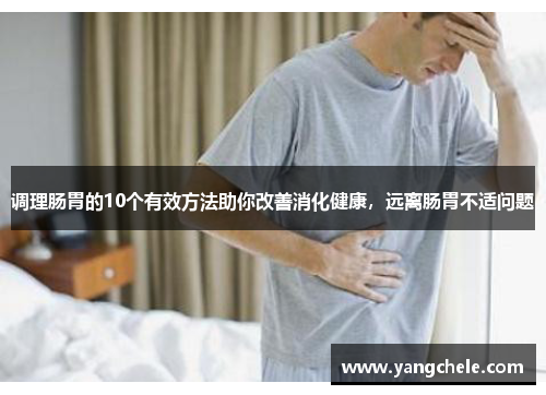 调理肠胃的10个有效方法助你改善消化健康，远离肠胃不适问题