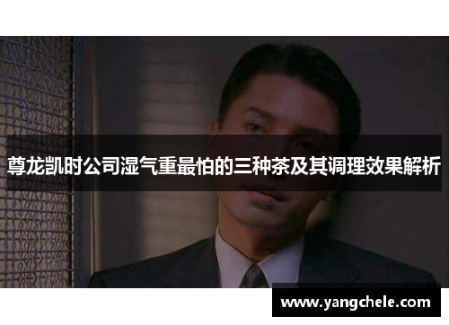 尊龙凯时公司湿气重最怕的三种茶及其调理效果解析
